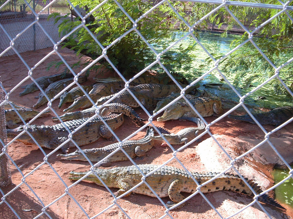 Broome, Malcolm Douglas Crocodile Park