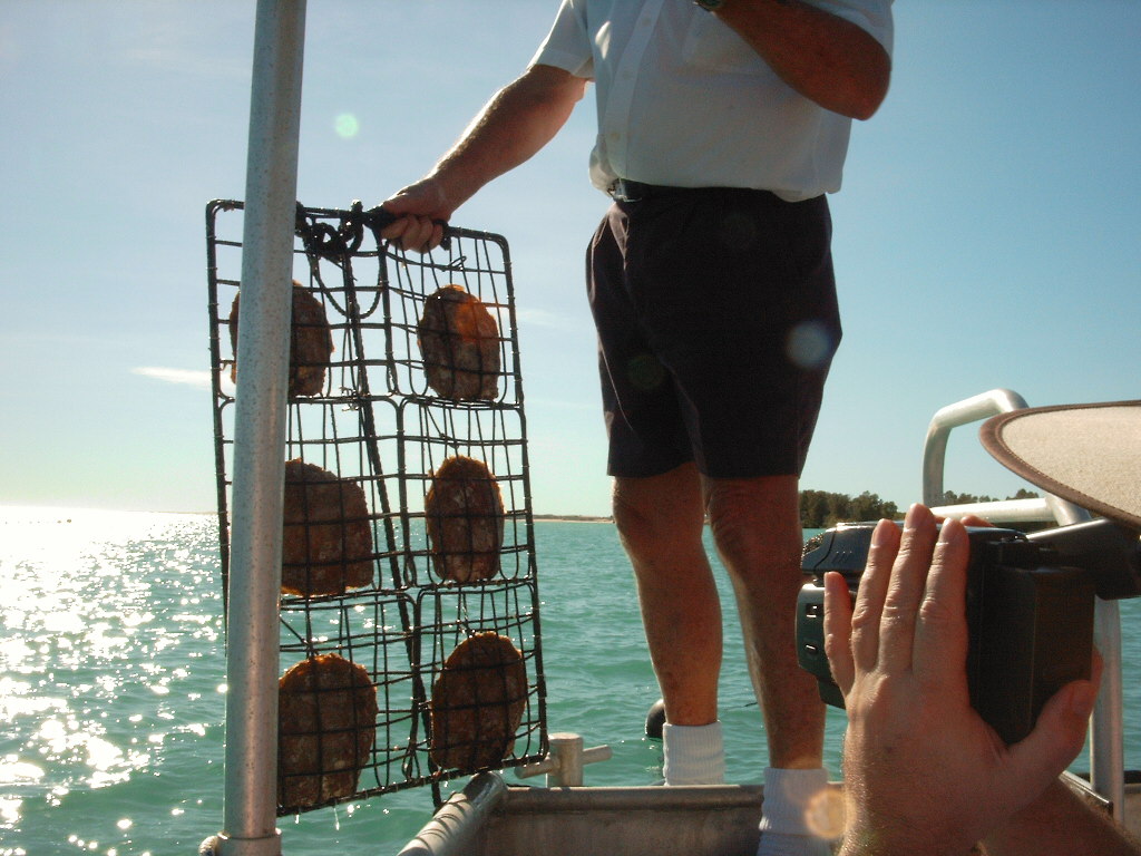 Broome, Willie Creek Pearl Farm