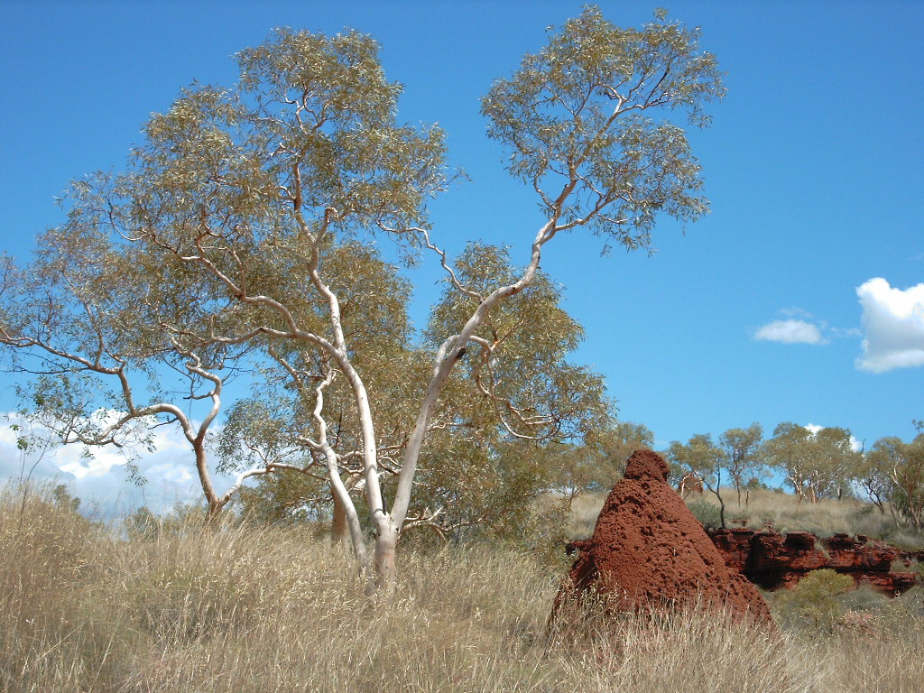 Karijini National Park