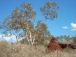 Karijini National Park