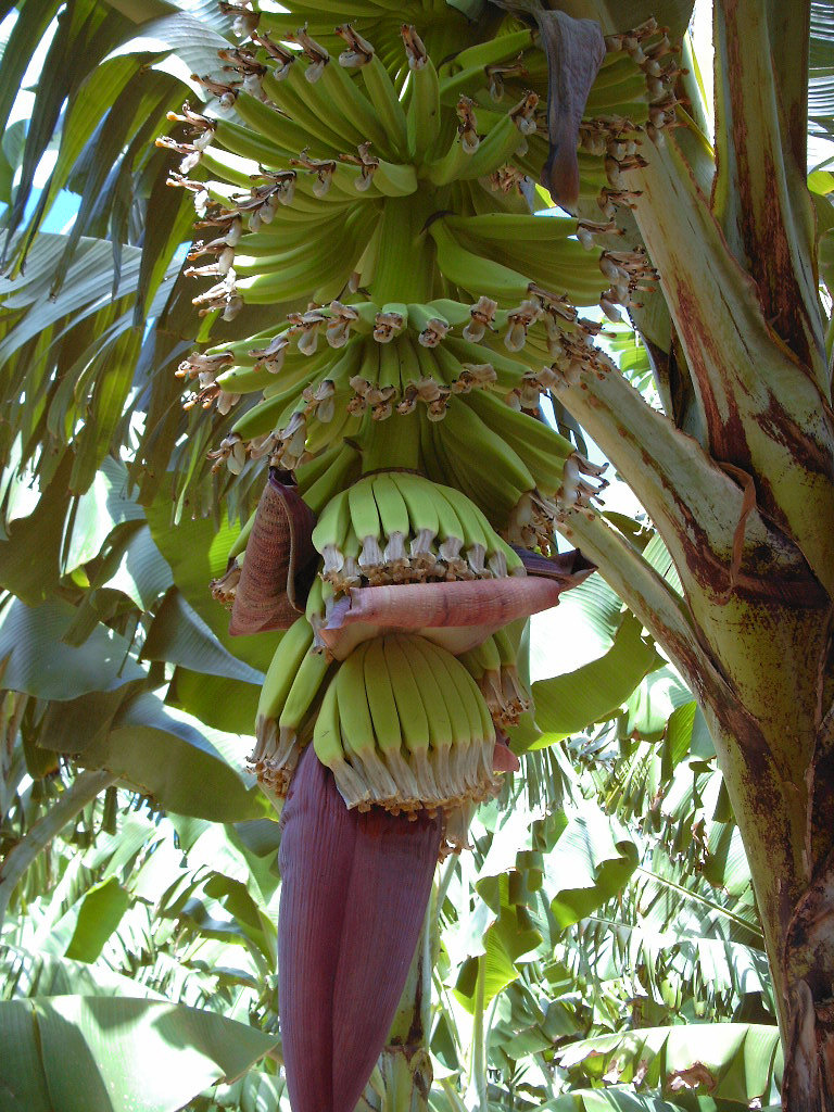 Perth, The Round House