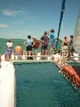 Monkey Mia Dolphin Resort, Shotover Cruise