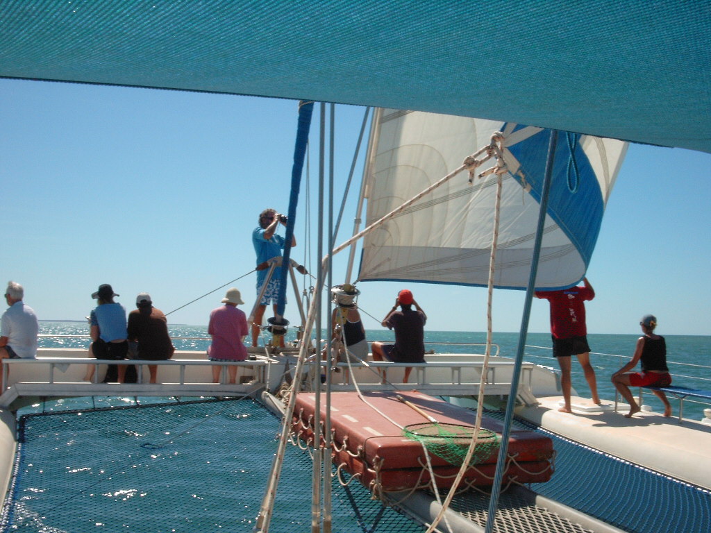 Monkey Mia Dolphin Resort, Shotover Cruise