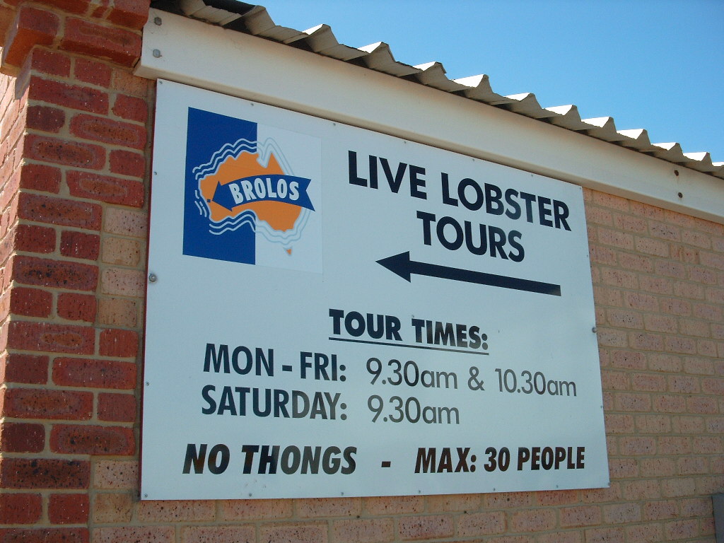 Geraldton, Brolos Lobster
