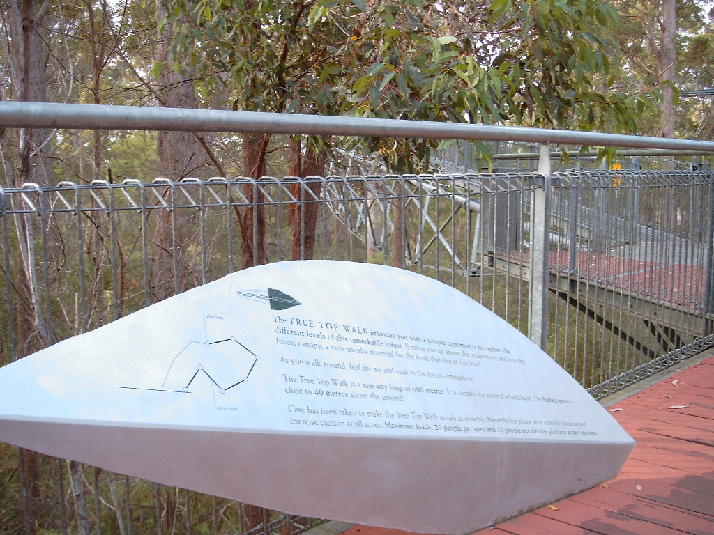 Giant Tree Top Walk